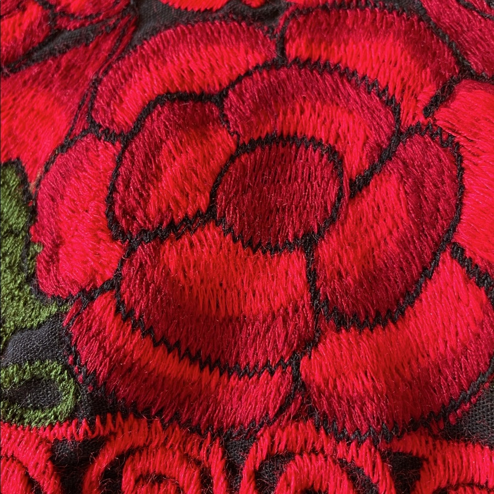 Embroidered vneck